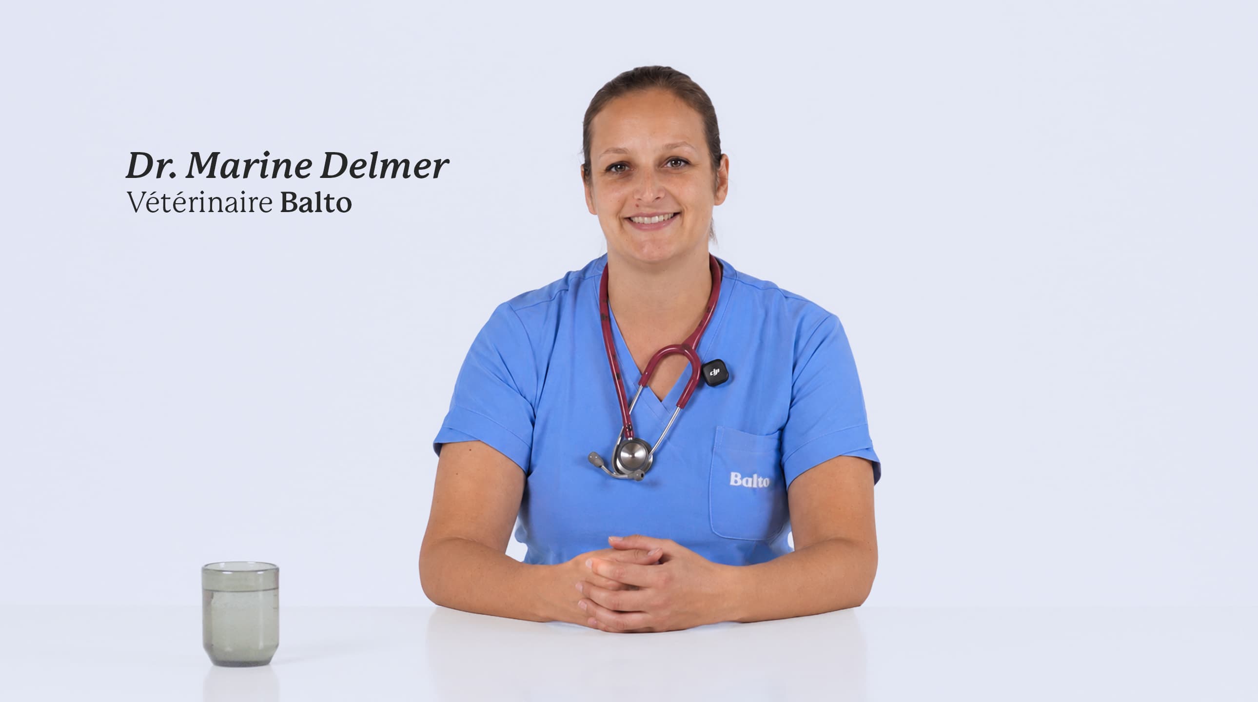 Notre vétérinaire Balto