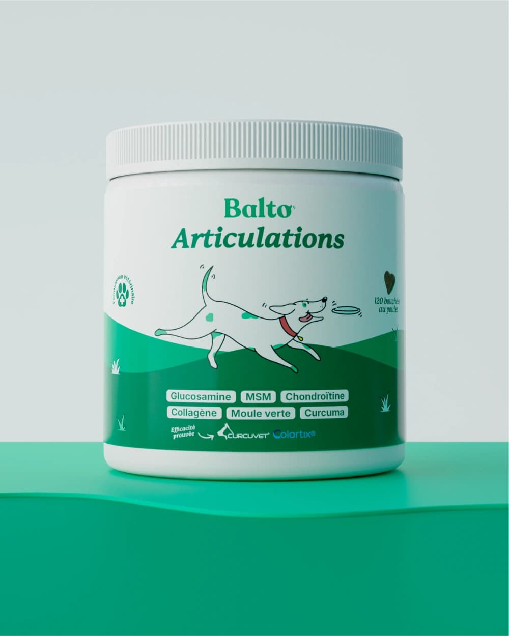 Articulations