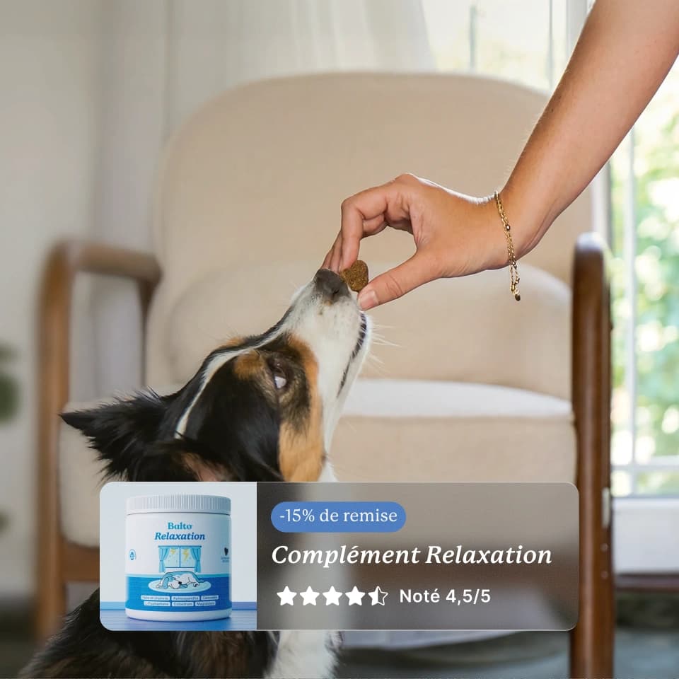 Cet été, complétez sa routine avec une dose de sérénité
