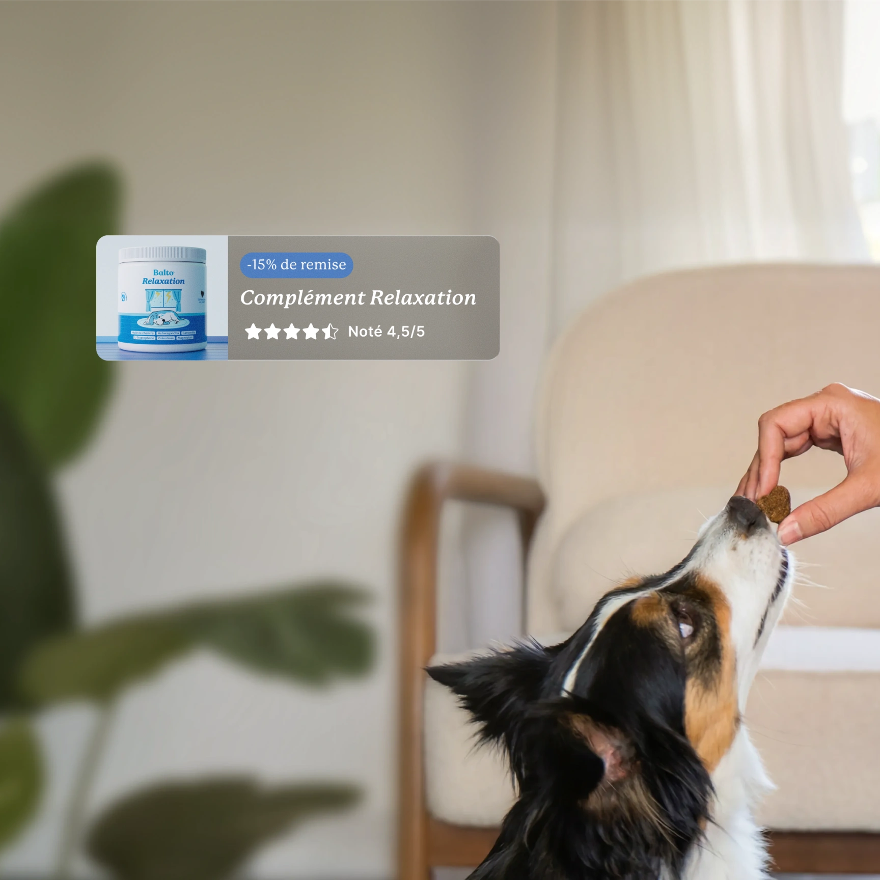Cet été, complétez sa routine avec une dose de sérénité