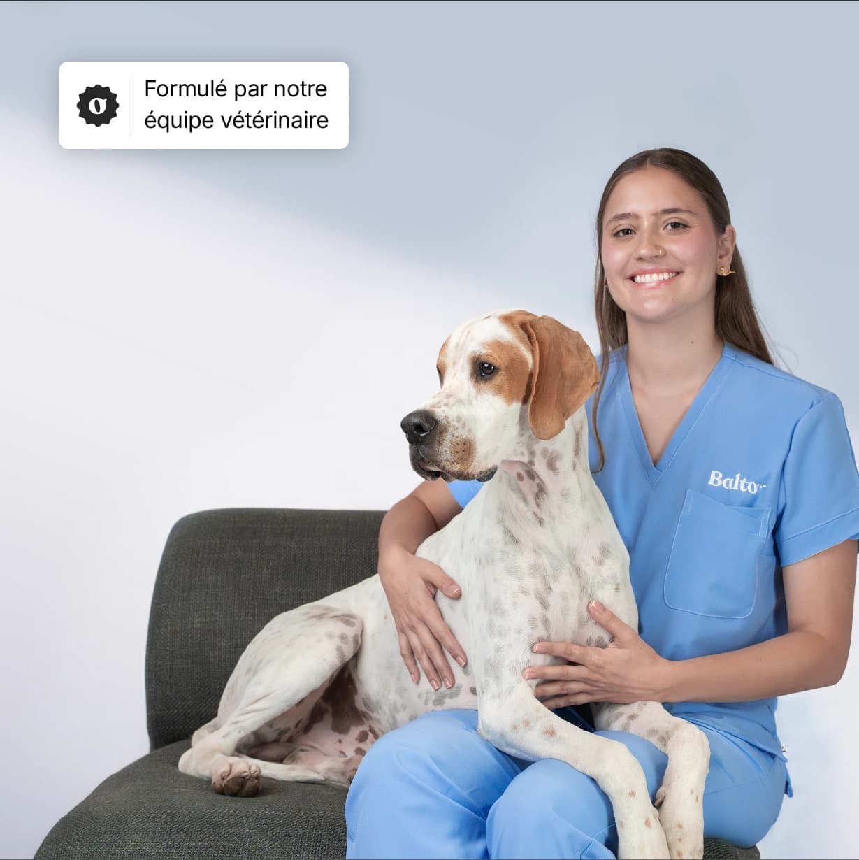 balto product Complément Articulations image
