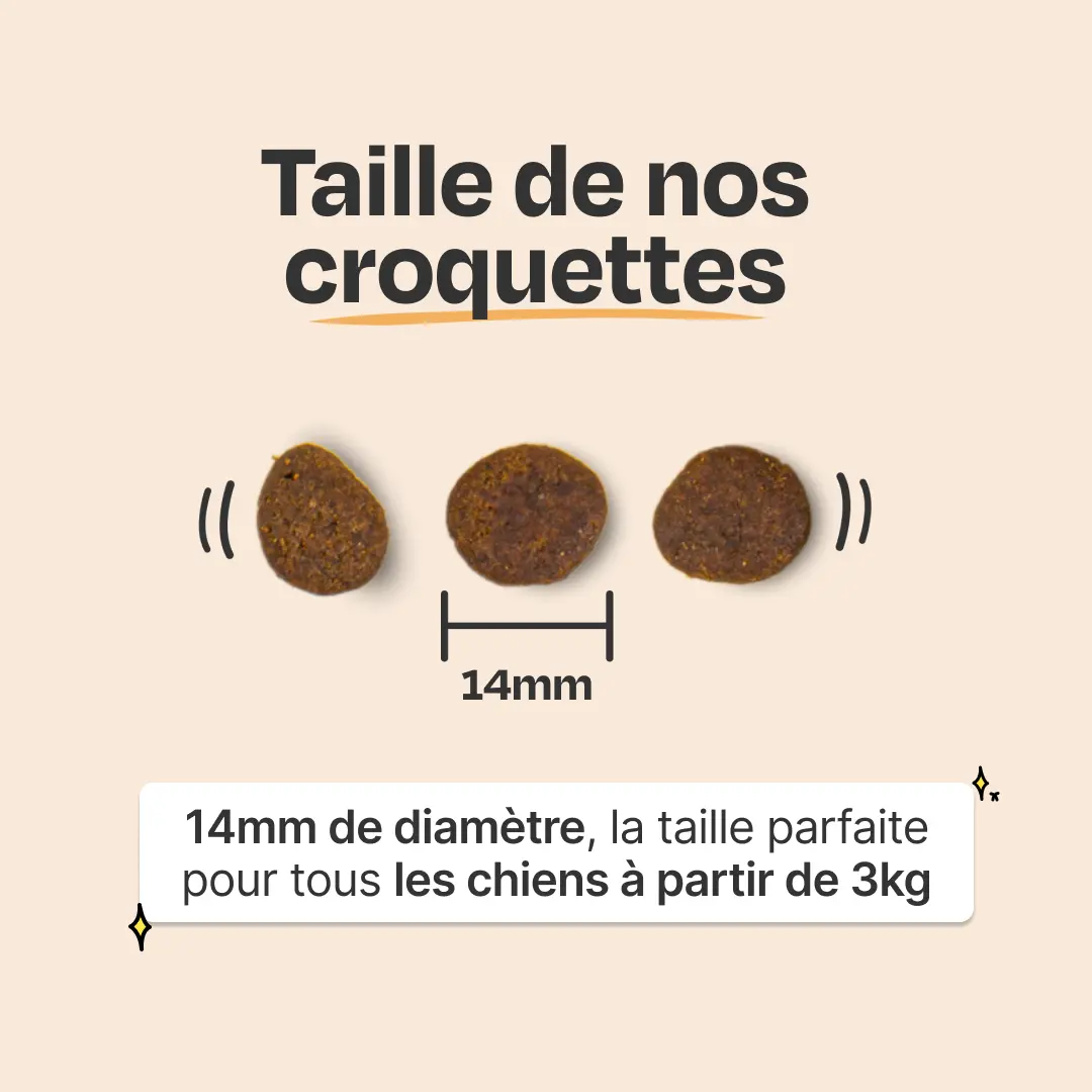 balto product Croquettes au poulet frais image