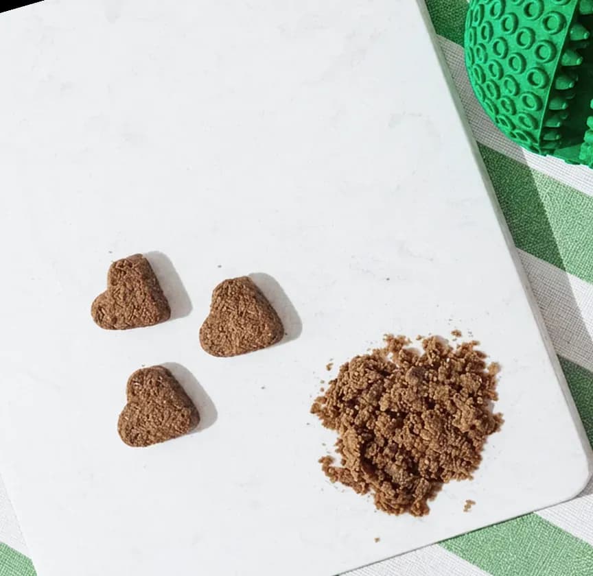 Bouchées Balto dans une assiette